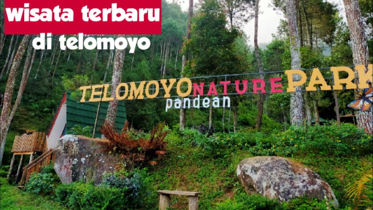 Telomoyo Nature Park: Surga Alam di Lereng Gunung